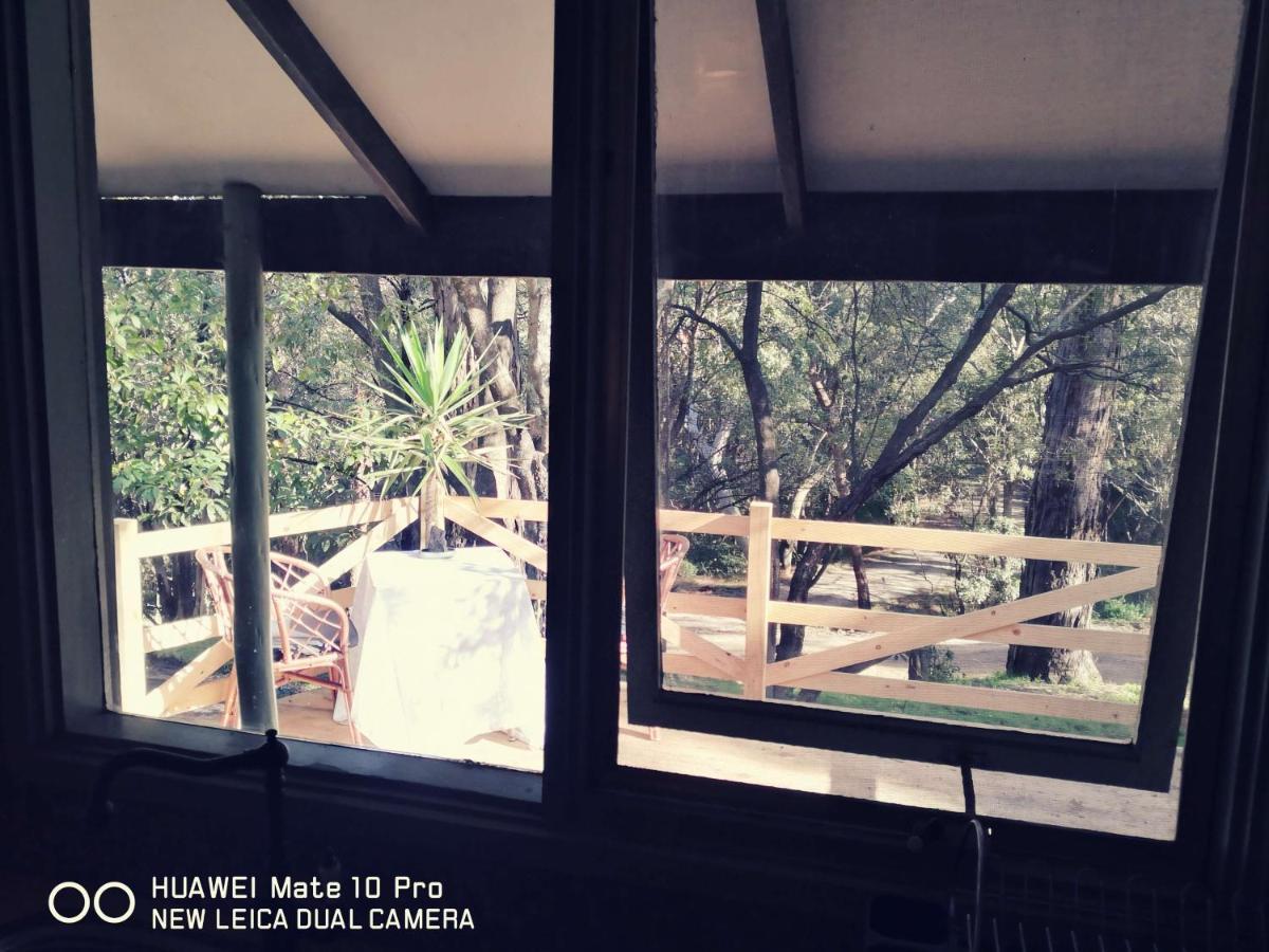 Kalimna Woods Lodge *