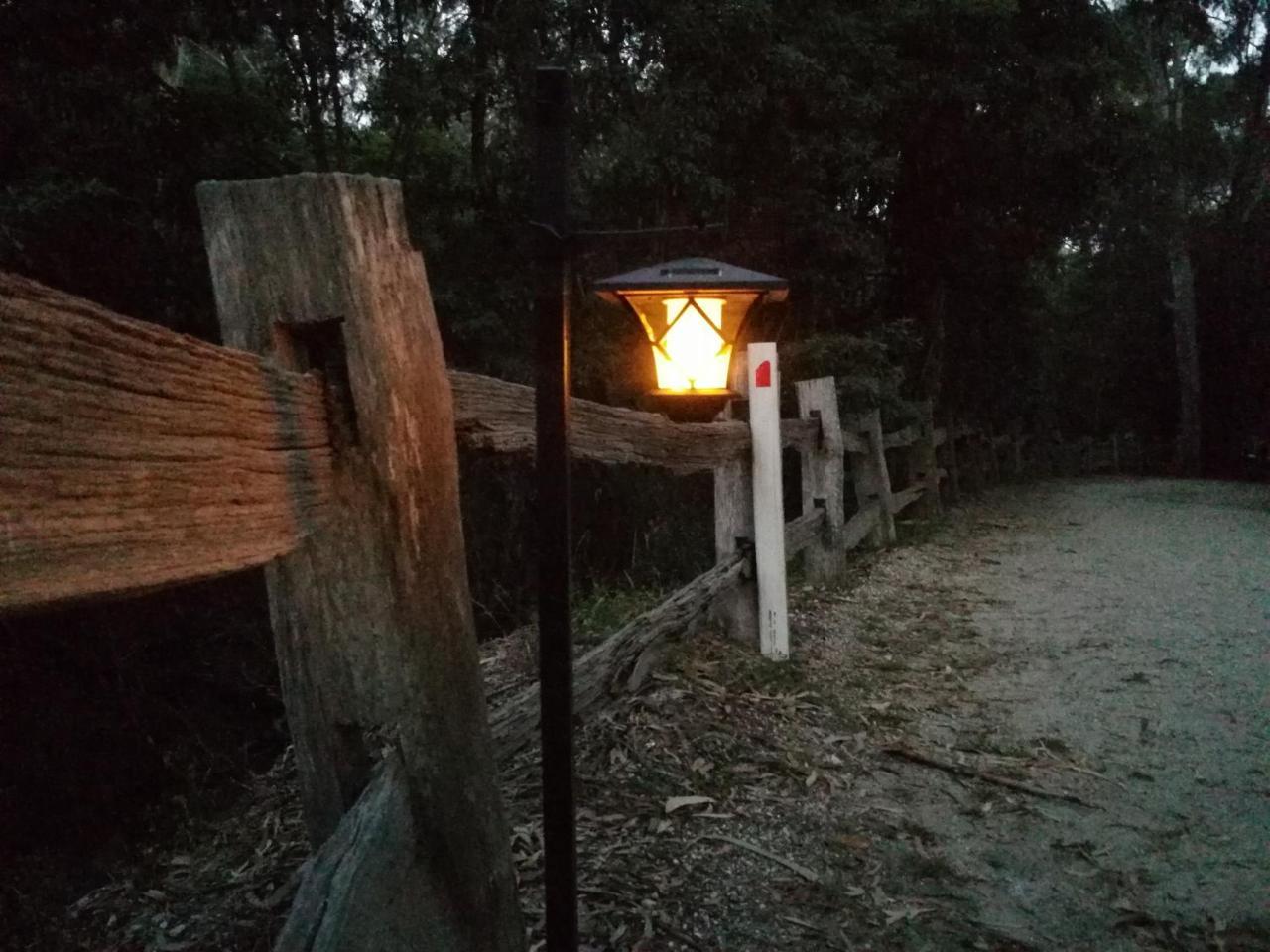 Kalimna Woods *