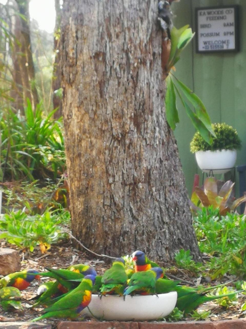 Lodge Kalimna Woods Lakes Entrance